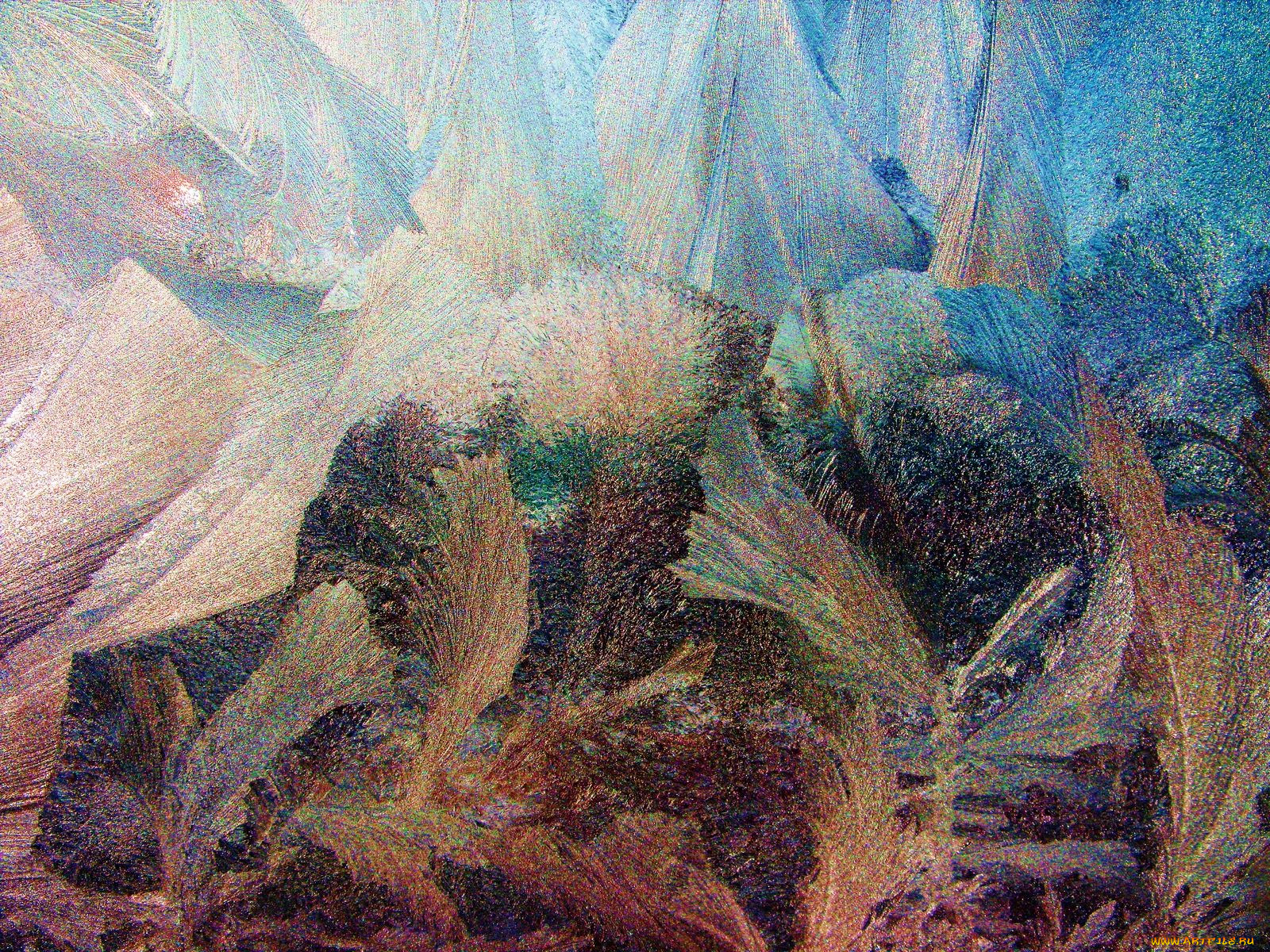, , , 